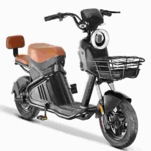 Fat Tire City Coco Two Wheel Electric Scooter dealer