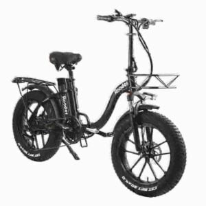 fat tire ebike dealer