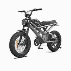 Fat Tire Electric Bike Off Road dealer