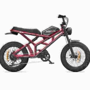 Fat Tyre Ebikes dealer