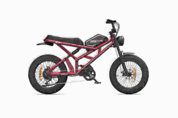 Fat Tyre Ebikes dealer