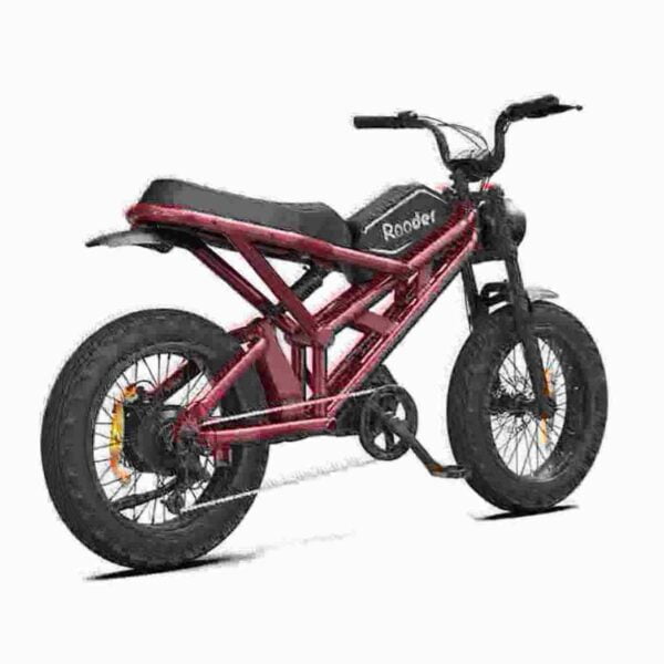 fat tyre electric bike dealer