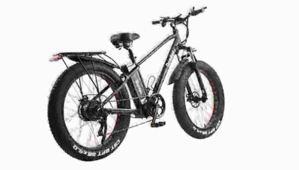 fat tyre electric cycle dealer