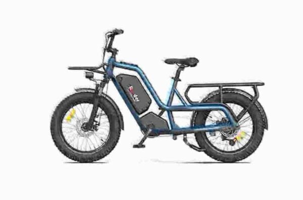 fat wheel electric bike dealer