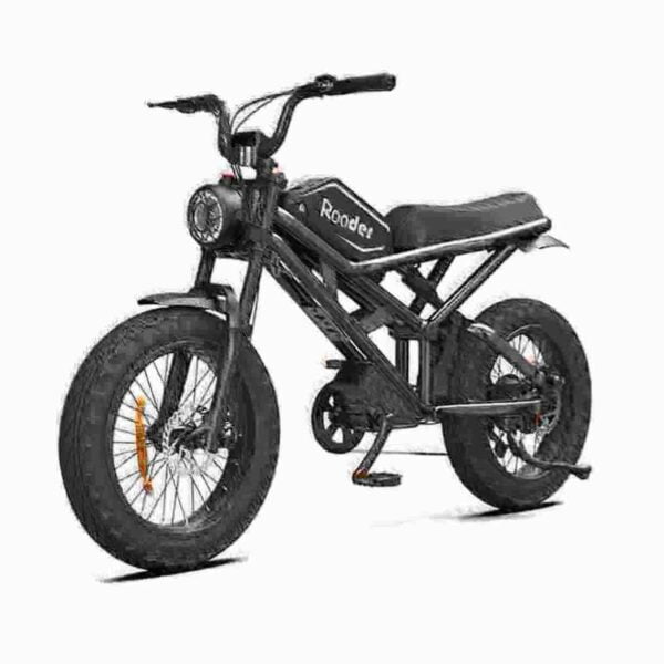 Fold Down Electric Bike dealer