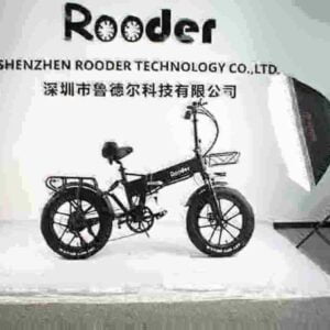 Folding 20 Inch Electric Bike dealer