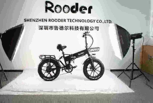 Folding 20 Inch Electric Bike dealer