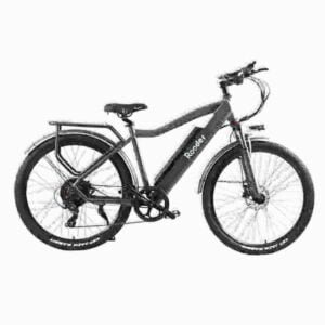 Folding E Bike dealer