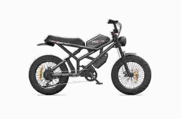 Folding Electric Bike 250w dealer