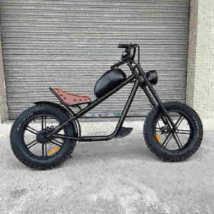 Folding Step Through Electric Bike dealer