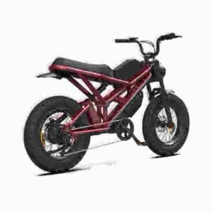 Full Size Electric Dirtbike dealer