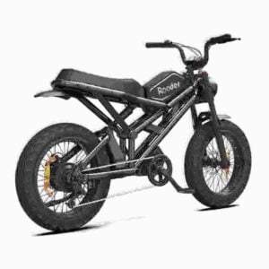 Light Foldable Ebike dealer