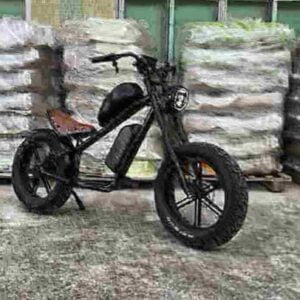 Lightweight Electric Bike Folding dealer