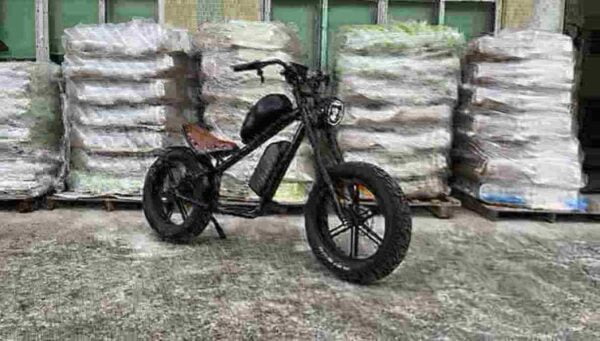 Lightweight Electric Bike Folding dealer