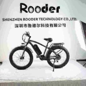 Lightweight Fold Up Electric Bike dealer