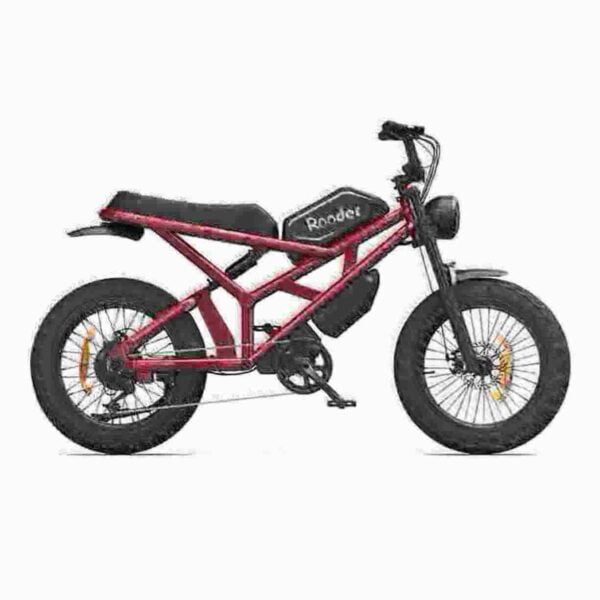 Longest Range Folding Electric Bike dealer