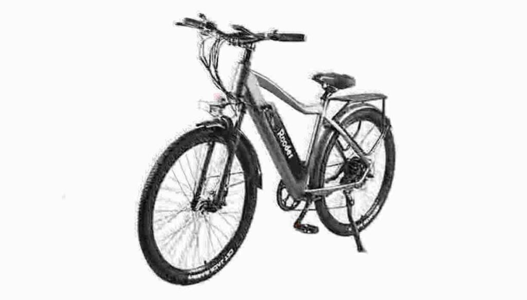 Mens Electric Bike dealer