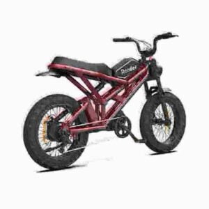 Mens Electric Mountain Bike dealer