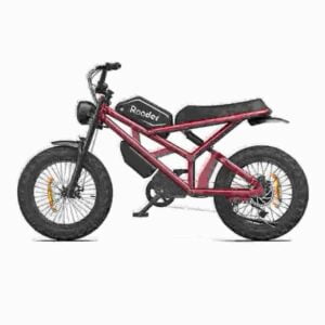 Most Powerful Fat Tire Ebike dealer