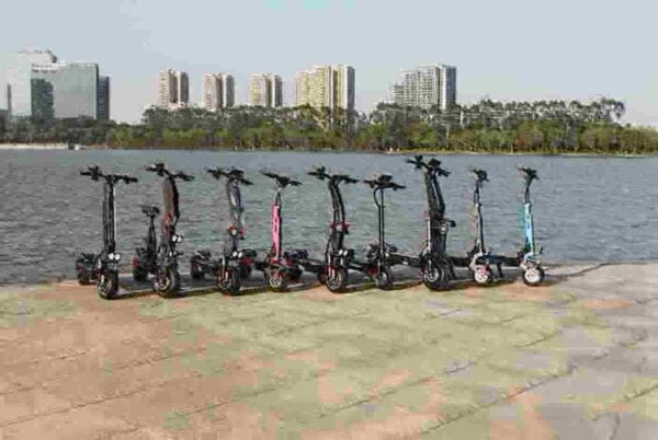 Portable Foldable Scooter dealer