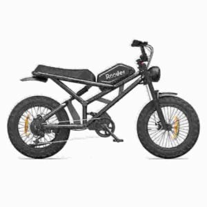 Road Fat Tire Electric Bike dealer