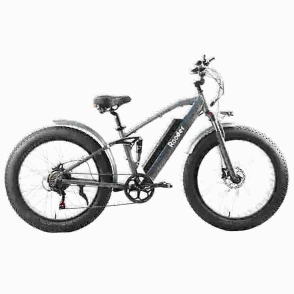 Single Speed Ebike dealer