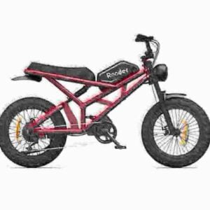 small electric bike dealer