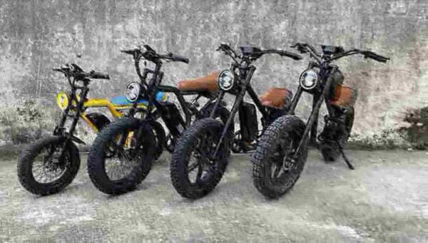 The Best Folding Electric Bike dealer