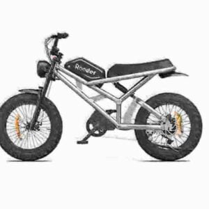 Thick Tire Electric Bike dealer