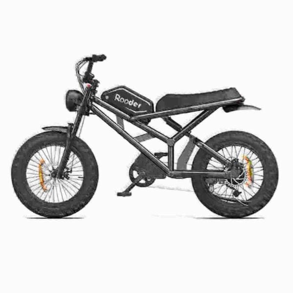 top electric bikes dealer