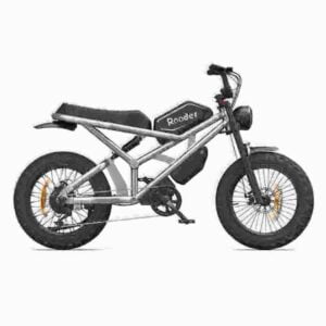 Torque Folding Bike dealer