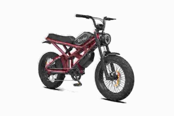 Usa Electric Bike dealer