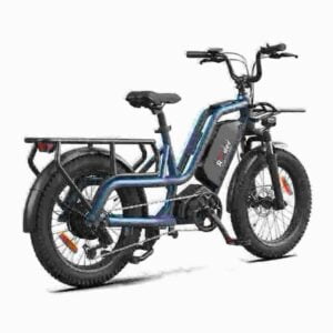 Wholesale Fat Tire Electric Bike dealer