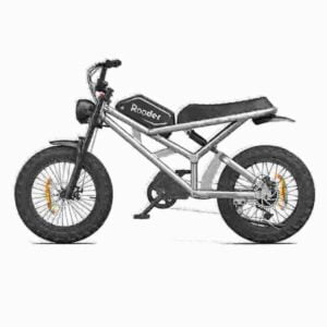 Women’s Electric Folding Bike manufacturer dealer wholesale