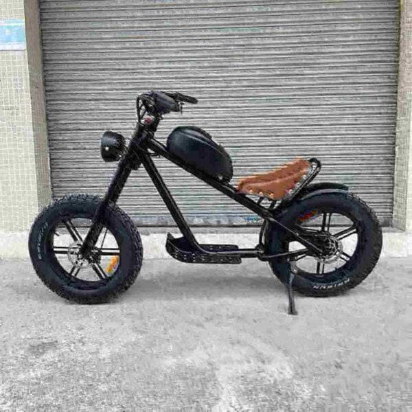 Womens Folding Electric Bike dealer