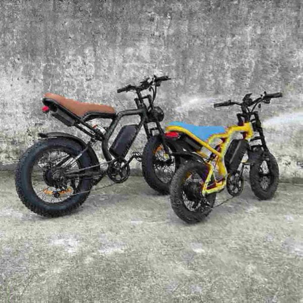 belt drive ebike dealer