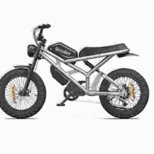 best fat tire ebike 2024 dealer