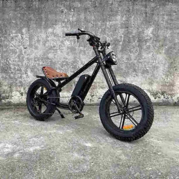 buy electric bike dealer