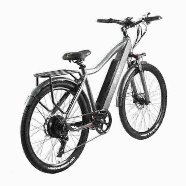 cheap electric bikes for adults dealer