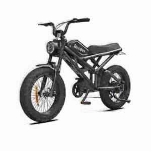 e bike de dealer