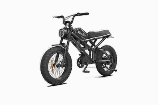 e bike de dealer