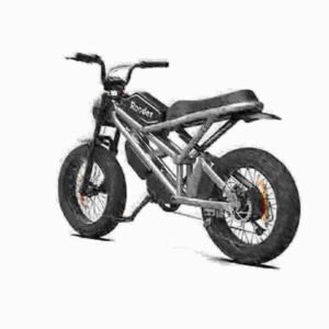electric assist bicycle dealer