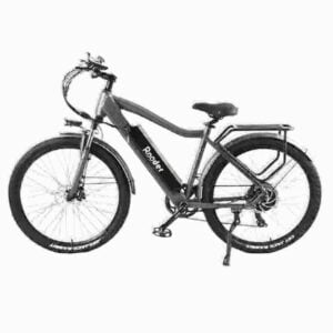 electric bike motors dealer