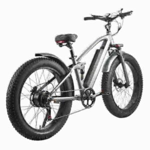 electric bikes and scooters dealer