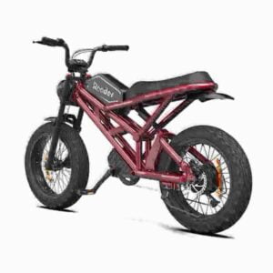 electric mountain bicycle dealer