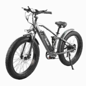 ev bike price dealer