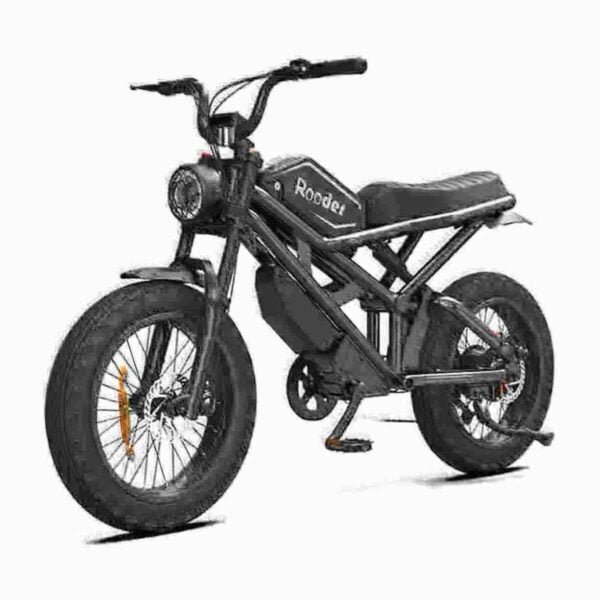 go electric bike dealer