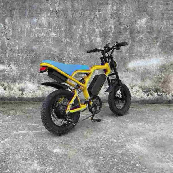 ladies electric bikes for sale dealer