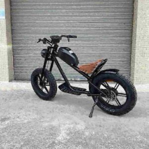 lightest ebikes dealer