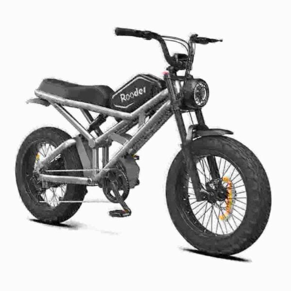 motorized bicycle for sale dealer